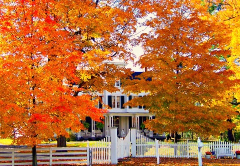 7 STEPS TO PREPARING YOUR HOME FOR FALL